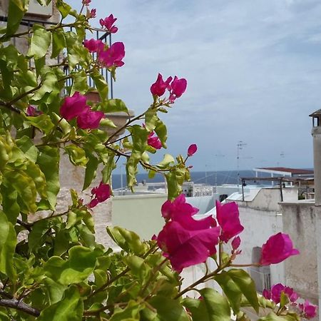 La Casetta Nel Vico Polignano a Mare Bagian luar foto
